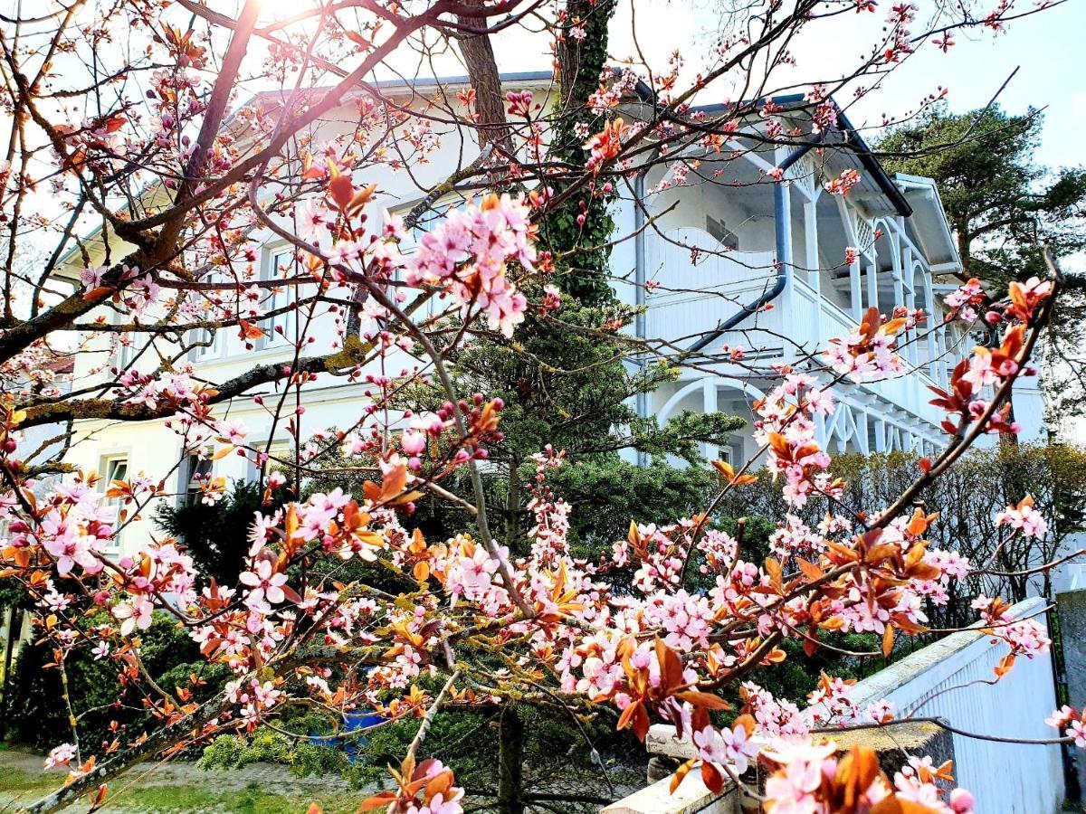 Villa Asta Binz Buitenkant foto